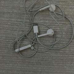Earphones, as reported by Hotel van der Valk Maastricht using iLost