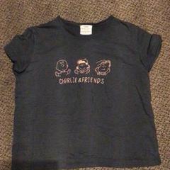 Tshirt, a été signalé par Van der Valk Hotel Zwolle utilisant iLost