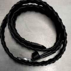 Riem Zwart, rapporterat av Arriva Friesland / Groningen med iLost