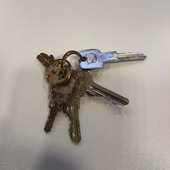 sleutelbos, ha sido reportado por Gemeente Ede con iLost