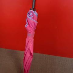 Paraply, rapporterat av Regio Limburg - Leuven med iLost