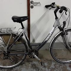 Fiets minerva  Grijs zwart, come riportato da Fietsdepot Hasselt utilizzando iLost
