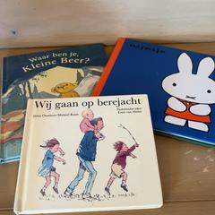 Libro, come riportato da Familie Resort Molenwaard utilizzando iLost