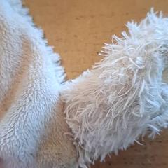 Knuffel, as reported by Avonturenboerderij Molenwaard using iLost