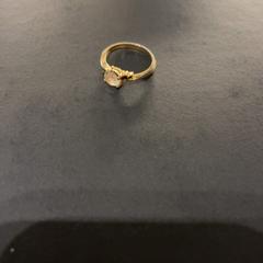 Sieraden Ring، كما تم الإبلاغ عنه بواسطة Van der Valk Hotel Houten عبر iLost