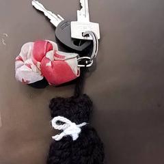 Keys, as reported by RRReis IJssel-Vecht using iLost