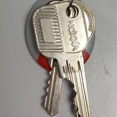 Key, as reported by Arriva West-Brabant using iLost