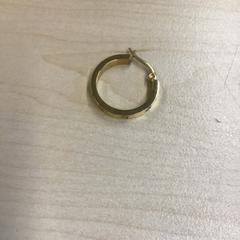 Náušnice, jak nahlášeno Gemeente Nijmegen pomocí iLost