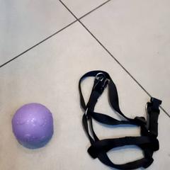 Dog bed leash and ball, as reported by Leonardo Royal Hotel Amsterdam using iLost