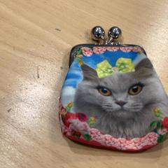 Portafoglio, come riportato da Gemeente Gooise Meren utilizzando iLost