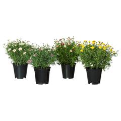 Produkt IKEA, ako bolo nahlásené IKEA Montpellier pomocou iLost