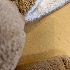 Knuffel, gisa salatu by Avonturenboerderij Molenwaard iLost erabiliz