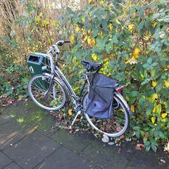 Fiets, ha sido reportado a iLost