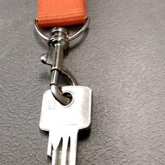 열쇠 Zilver, iLost를 사용하여 Arriva Friesland / Groningen에 보고됨