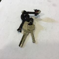 Sleutels, iLost를 사용하여 Qbuzz U-OV에 보고됨