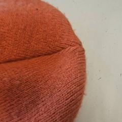 Gorro, segons ha informat GVB mitjançant iLost