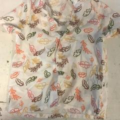 Blouse Kindermaat met blaadjes, as reported by Artis using iLost