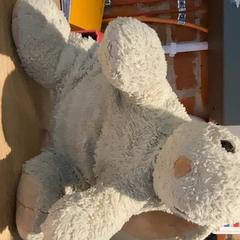 Pluszowa zabawka Biały kroliczek, ako bolo nahlásené MEININGER Hotel Kraków Centrum pomocou iLost