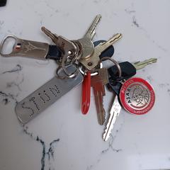 Sleutelbos, iLost-i jakinarazi zaion moduan