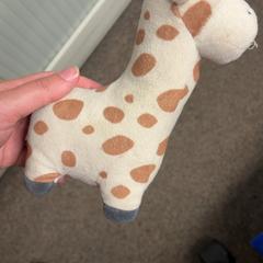 Knuffel Giraffe, as reported by Burgers' Zoo using iLost