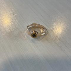 Ring, zoals gemeld door Madurodam met iLost