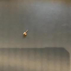 Kolczyki 1 earring in gold, zgłoszono przez MEININGER Hotel Leipzig Hauptbahnhof przy użyciu iLost