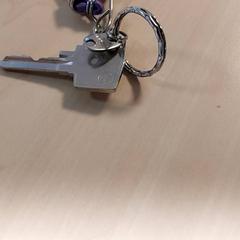 Llave, ha sido reportado por Regio Oost-Vlaanderen con iLost