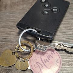 Sleutelbos, jak zgłoszono do iLost