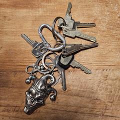 Sleutelbos an iLost gemeldet