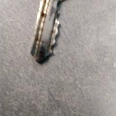 Key, as reported by Arriva Friesland / Groningen using iLost