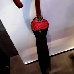 İLost kullanarak EBS Tramplein tarafından bildirildiği gibi Şemsiye