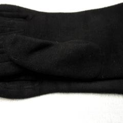 Rukavice Zwart, jak nahlášeno Arriva Friesland / Groningen pomocí iLost