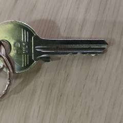 Keys 1 sleutel, as reported by Centraal magazijn using iLost