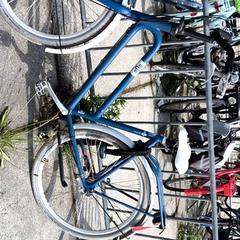 Dámské kolo Batavus, jak nahlášeno Stadswerk072 pomocí iLost