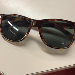 Sunglasses, as reported by Burgers' Zoo using iLost