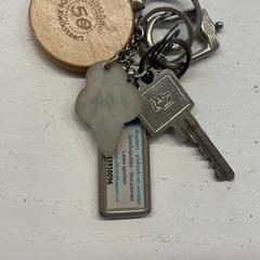 Keys, as reported by GVB using iLost