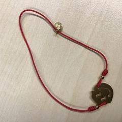 Bracelet, as reported by Gemeente Nijmegen using iLost