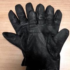 Handschuh Zwart, gemeldet von Transdev Hoeksche Waard Goeree Overflakkee über iLost