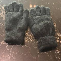 Handschuhe Zwart, gemeldet von Van der Valk Hotel Veenendaal über iLost