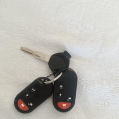 sleutels, som rapporterats till iLost