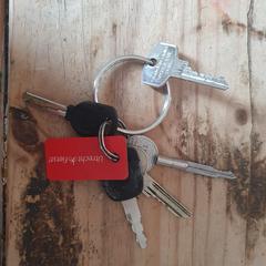 Sleutelbos, segundo informou a iLost