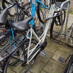 Fiets, come riportato a iLost