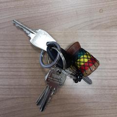 Sleutelbos, zoals gemeld door Arriva West-Brabant met iLost