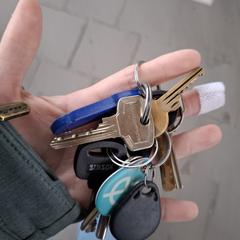 Sleutelbos, gerapporteerd met iLost