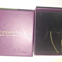 Gouden kettinkje met hangertje, segons ha informat UMC Utrecht mitjançant iLost