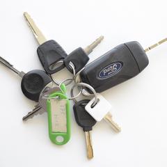 sleutelbos/set of keys, como reportado ao iLost