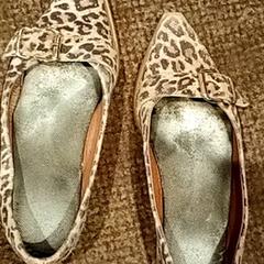 Schuhe Panter print, gemeldet von Van der Valk Hotel Apeldoorn - De Cantharel über iLost