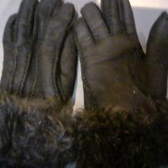 Gloves, as reported by SnowWorld Landgraaf using iLost