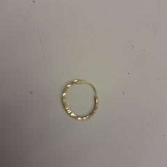 İLost kullanarak Alrijne Leiden tarafından bildirildiği gibi Küpe gouden oorbel