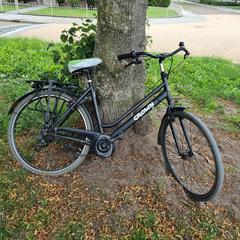 FIets Crown, segons s'ha informat a iLost